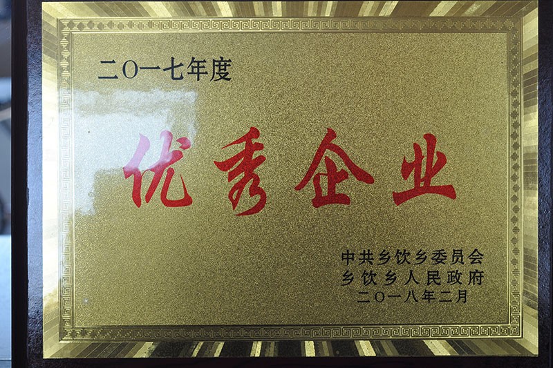  優(yōu)秀企業(yè)